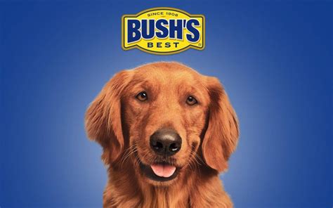 Duke, the Bushs Baked Beans Dog, Has Died